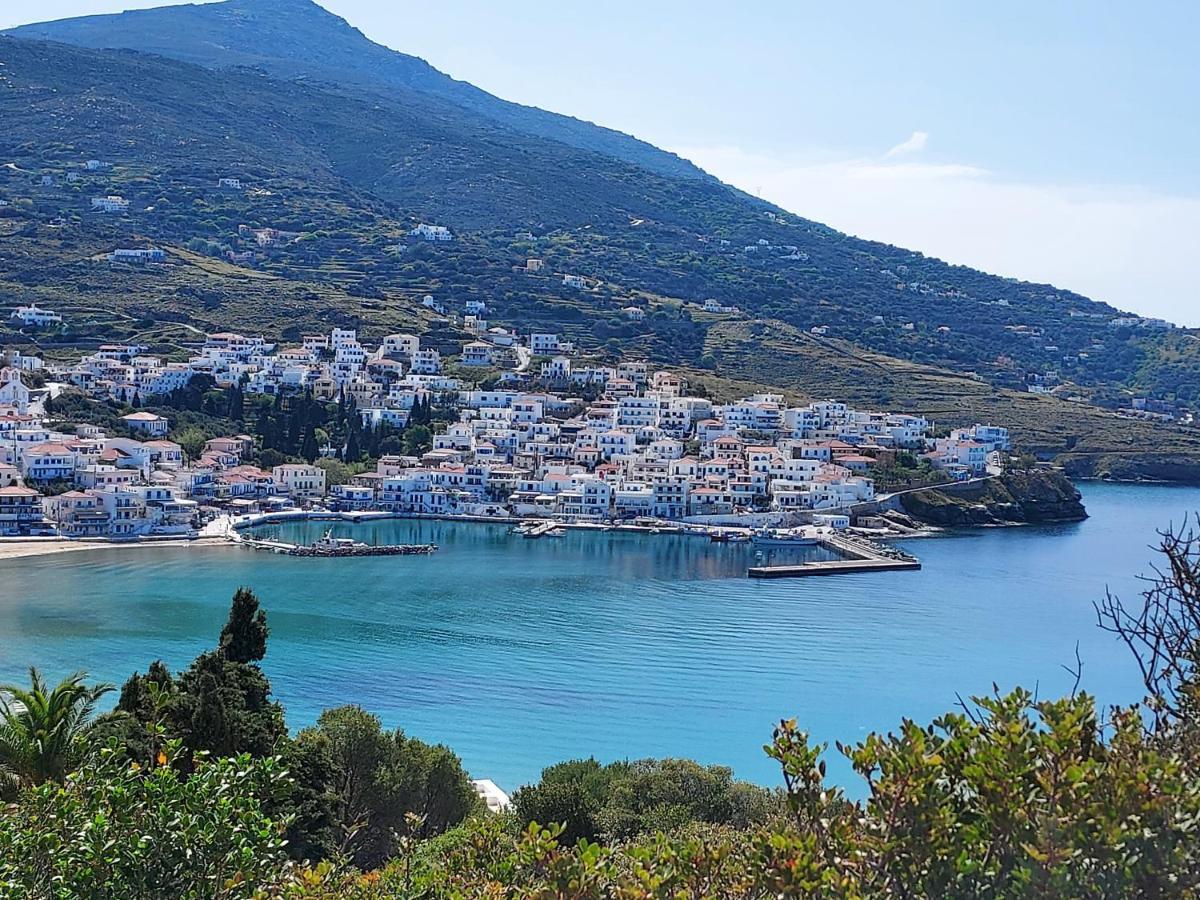 Villa Arni Andros - Βίλα Αρνη باتسي المظهر الخارجي الصورة