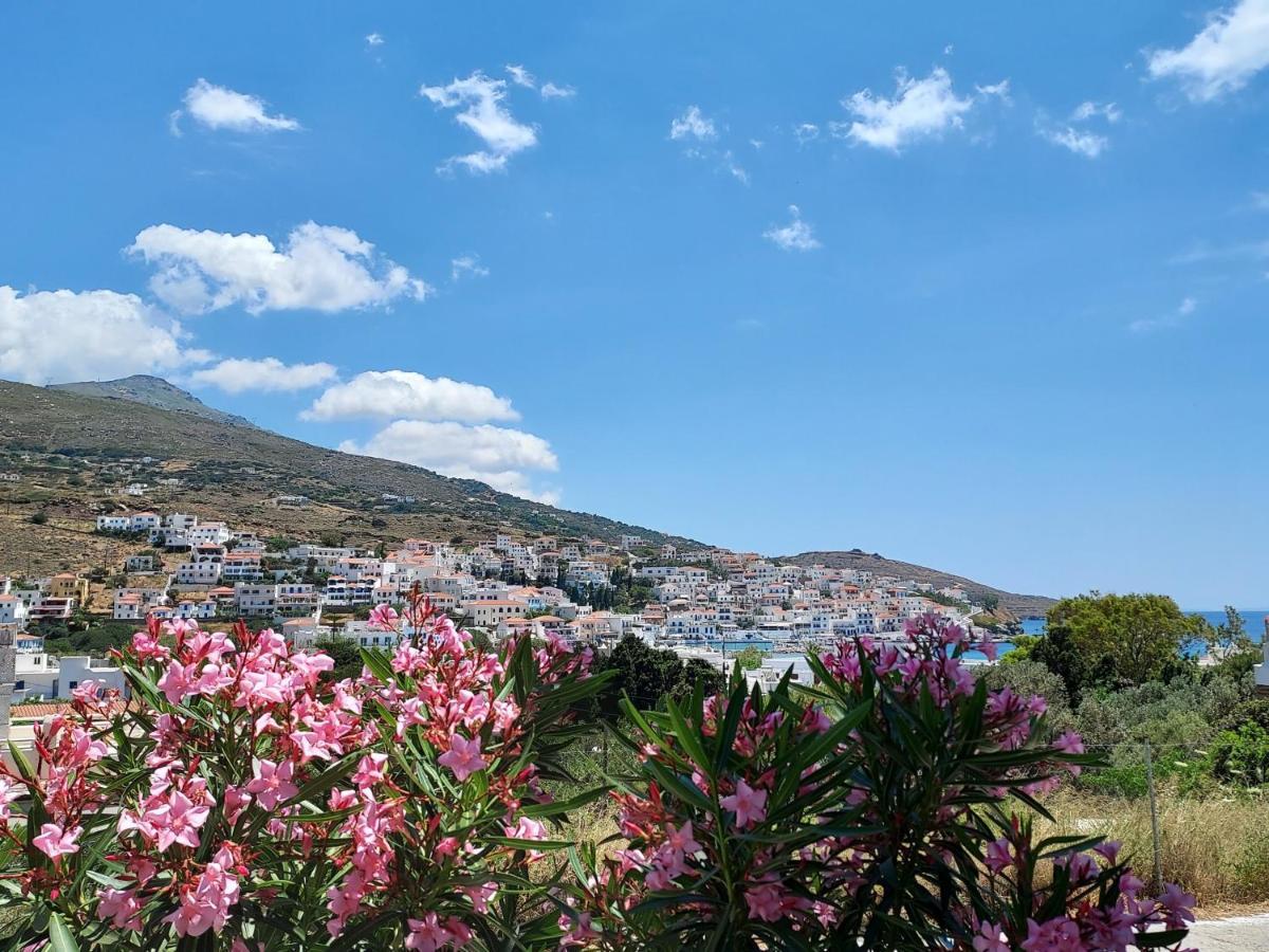 Villa Arni Andros - Βίλα Αρνη باتسي المظهر الخارجي الصورة