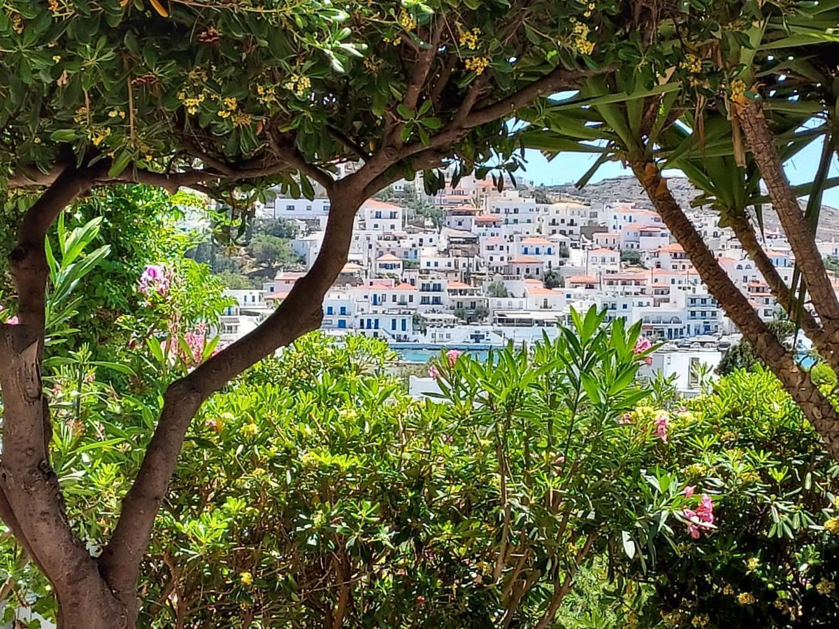 Villa Arni Andros - Βίλα Αρνη باتسي المظهر الخارجي الصورة