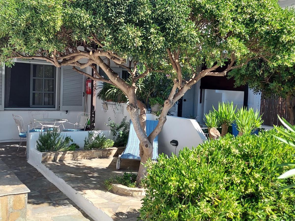 Villa Arni Andros - Βίλα Αρνη باتسي المظهر الخارجي الصورة