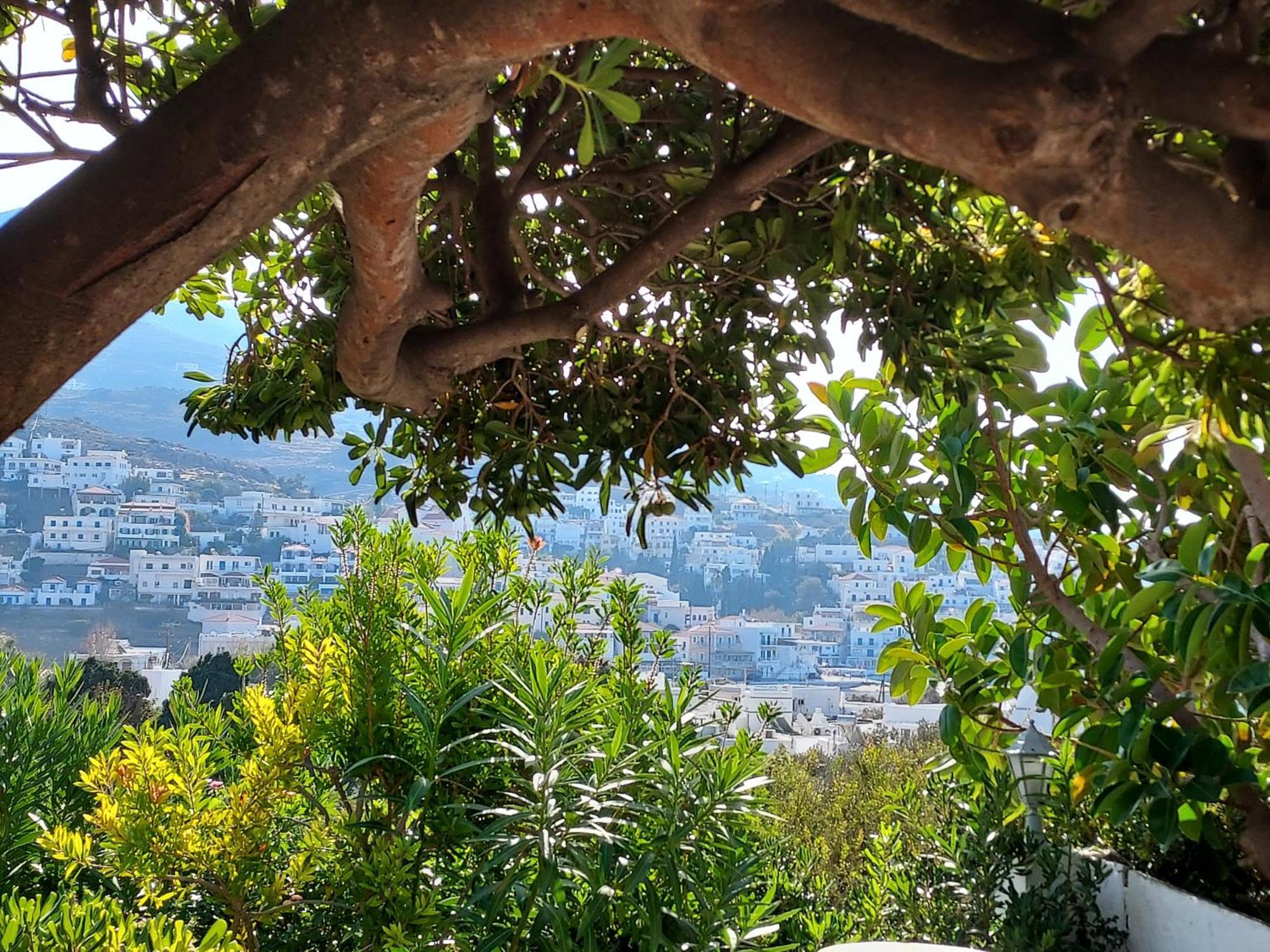 Villa Arni Andros - Βίλα Αρνη باتسي الغرفة الصورة