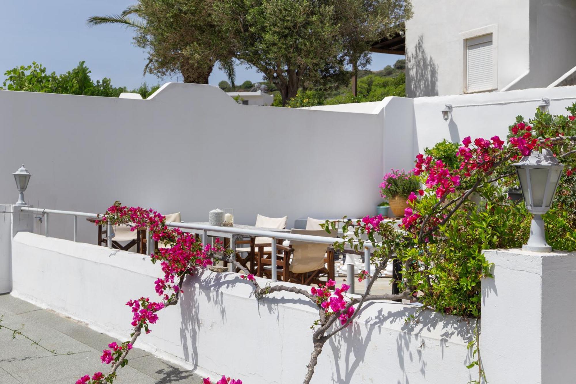 Villa Arni Andros - Βίλα Αρνη باتسي المظهر الخارجي الصورة