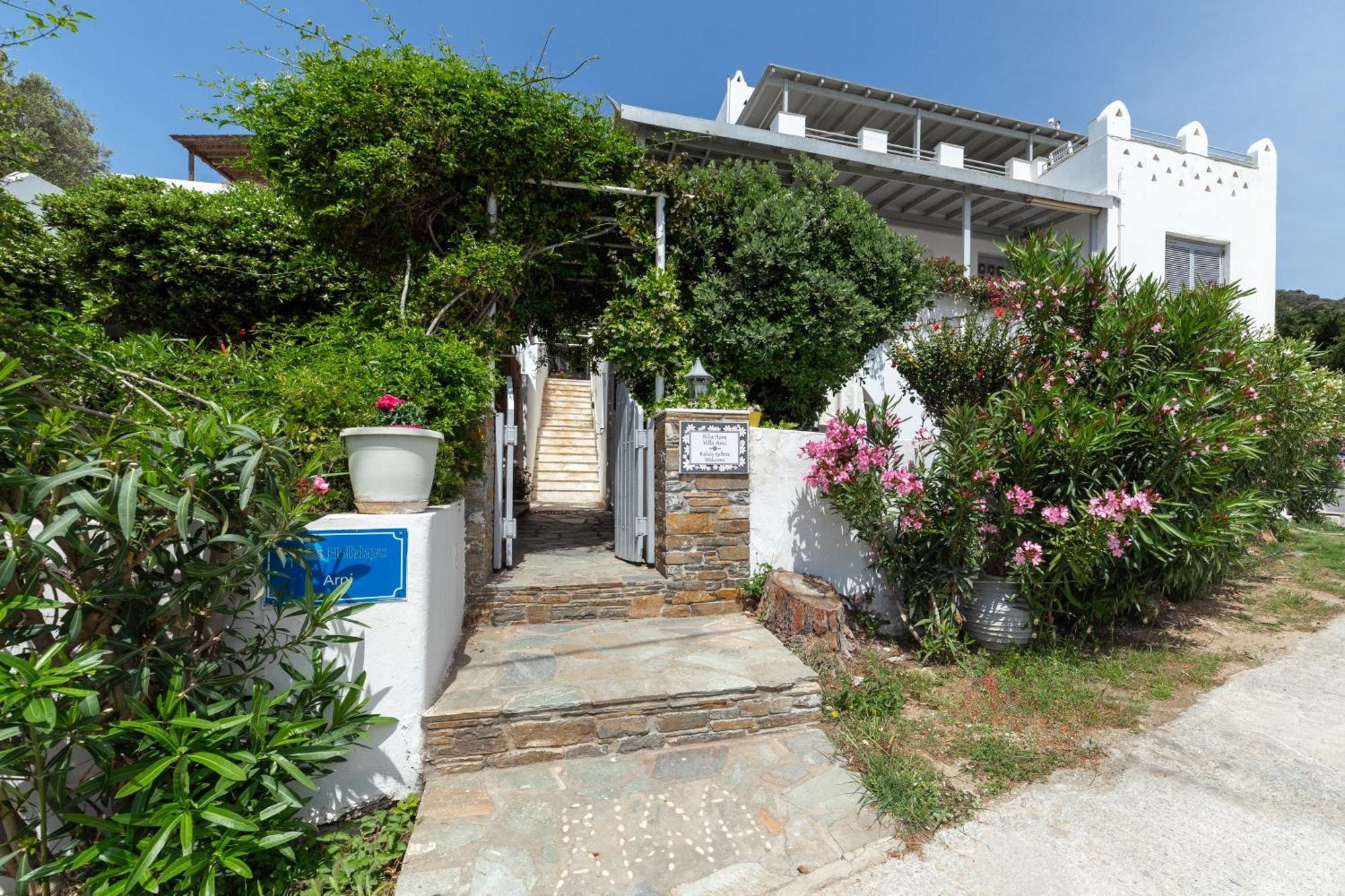 Villa Arni Andros - Βίλα Αρνη باتسي المظهر الخارجي الصورة