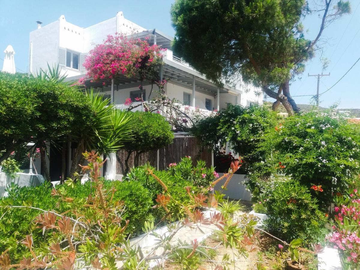 Villa Arni Andros - Βίλα Αρνη باتسي المظهر الخارجي الصورة